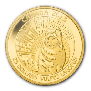 polarfuchs_gold_kanada