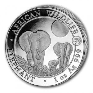 african-wildlife-elephant-privy-horse