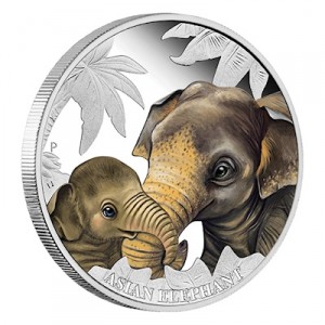 mothers-love-elephant