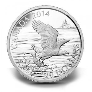 canada-bald-eagle-mit-fisch