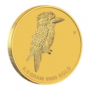 kookaburra-gold-klein