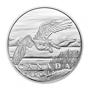 canada-schneeeule-silber