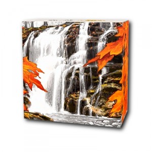 autumn-falls-1-oz-silber-koloriert-shipper