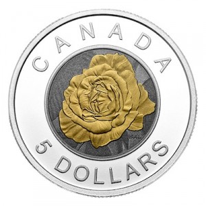 canada-blumen-rose-silber-niob