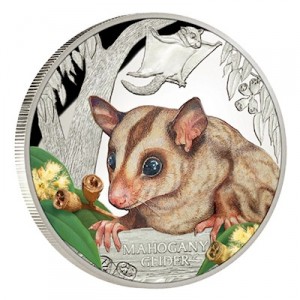 endangered-gleithoernchenbeutler-silber