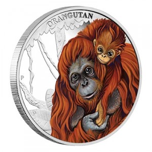 mothers-love-orang-utan-silber-koloriert