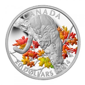 canada-puma-1-oz-silber-koloriert