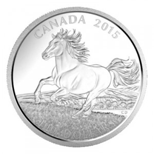 $100-for-$100-pferd