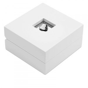 congratulations-hochzeit-1-oz-silber-etui-geschlossen