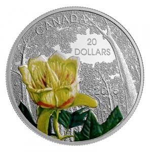 forests-of-canada-tulip-tree-1-oz-silber-2015-koloriert