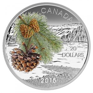 Forests-of-Canada-Coast-Shore-Pine-1-oz-silber
