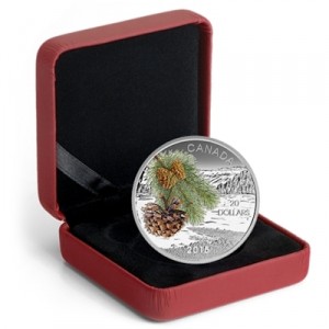 Forests-of-Canada-Coast-Shore-Pine-1-oz-silber-etui
