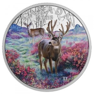 kanada-hirsch-2015-1-oz-silber-koloriert