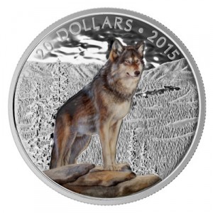 canada-wolf-1-oz-silber-koloriert