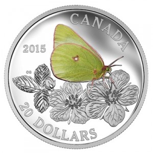 butterflies-of-canada-giant-sulphur-1-oz-silber-koloriert