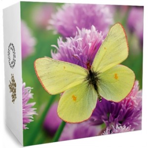 butterflies-of-canada-giant-sulphur-1-oz-silber-koloriert-shipper