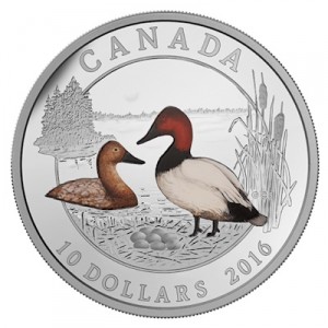 kanada-enten-canvasback-half-oz-silber