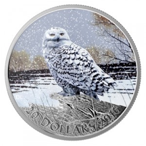 kanada-schneeeule-1-oz-silber-koloriert