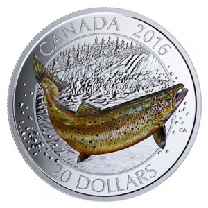 kanadische-lachsfische-atlantic-salmon-1-oz-silber-koloriert