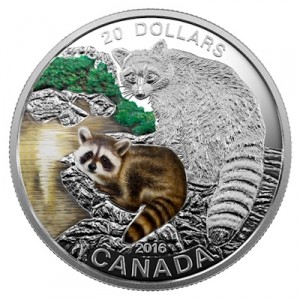 canada-baby-animals-raccoon-1-oz-silber-koloriert