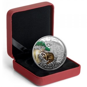 canada-baby-animals-raccoon-etui