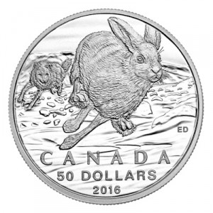 $50-for-$50-hare-half-oz-silver