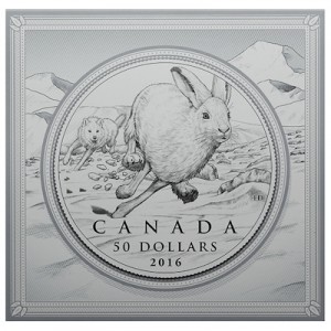 $50-for-$50-hare-half-oz-silver-verpackung