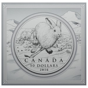 $50-for-$50-hare-half-oz-silver-verpackung