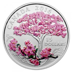 celebration-of-spring-cherry-blossoms-silber-koloriert