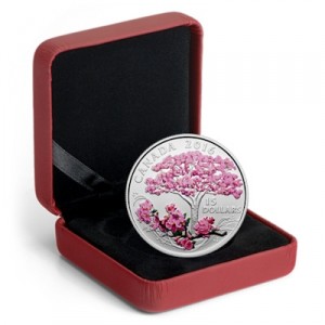 celebration-of-spring-cherry-blossoms-silber-koloriert-etui