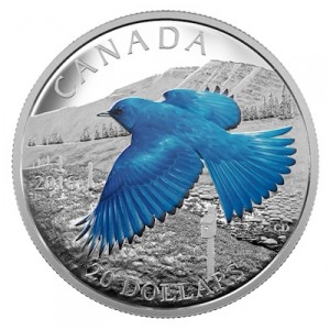 migratory-birds-mountain-bluebird-1-oz-silber-koloriert