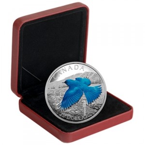 migratory-birds-mountain-bluebird-1-oz-silber-koloriert-etui