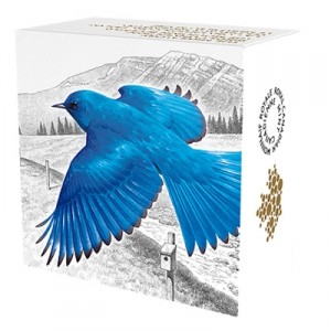 migratory-birds-mountain-bluebird-1-oz-silber-koloriert-shipper