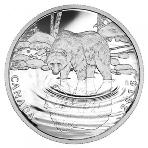 reflections-of-wildlife-grizzly-half-oz-silber