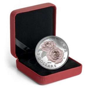 queen-elizabeth-rose-quarter-oz-silber-vergoldet-etui