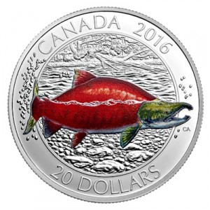 kanadische-lachsfische-rotlachs-1-oz-silber-koloriert