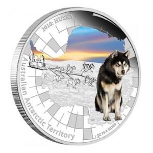 australian-antarctic-territory-2010-husky-1-oz-silber-koloriert