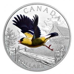 colourful-birds-of-canada-goldfinch-1-oz-silber-koloriert