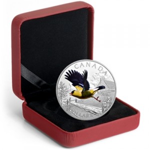 colourful-birds-of-canada-goldfinch-1-oz-silber-koloriert-etui