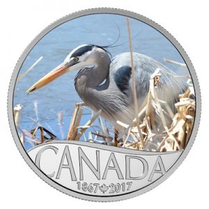 150-jahre-kanada-great-blue-heron-half-oz-silber-koloriert