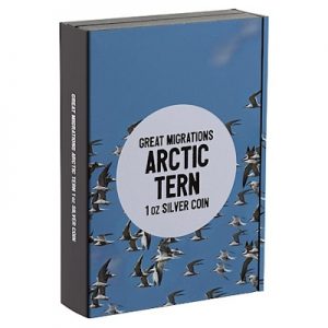 great-migrations-arctic-tern-1-oz-silber-koloriert-verpackt
