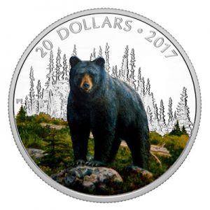 majestic-animal-2016-bold-black-bear-1-oz-silber-koloriert