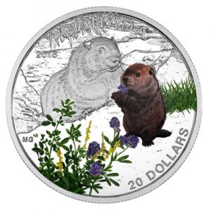 canada-baby-animals-woodchuck-1-oz-silber-koloriert