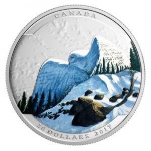 landscape-illusion-snowy-owl-1-oz-silber-koloriert