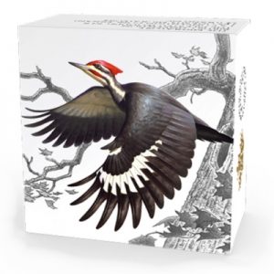 songbirds-woodpecker-1-oz-silber-koloriert-shipper