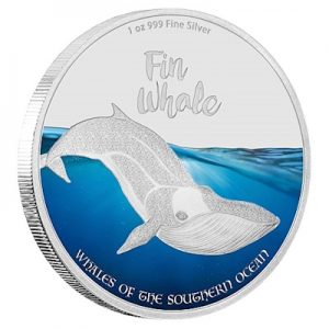 whales-fin-whale-1-oz-silber-koloriert