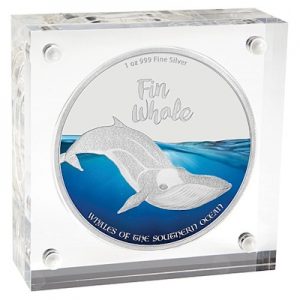 whales-fin-whale-1-oz-silber-koloriert-etui