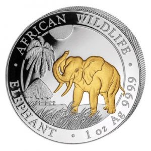 african-wildlife-elephant-2017-1-oz-silber-gilded