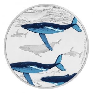 great-migrations-humpback-whale-1-oz-silber-koloriert