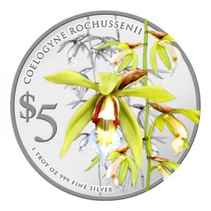 singapore-orchids-2014-coelogyne-rochussenii-1-oz-silber-koloriert-2